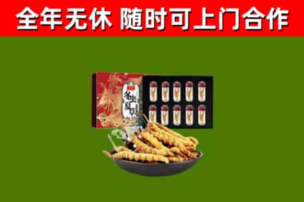 湘东区回收冬虫夏草价格